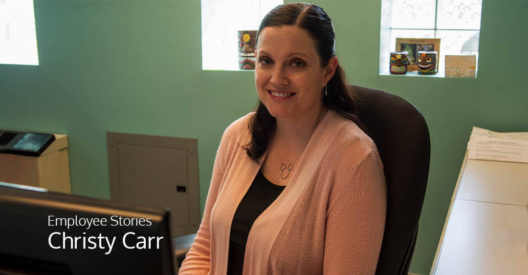 Christy (2025 American film) visual data 3